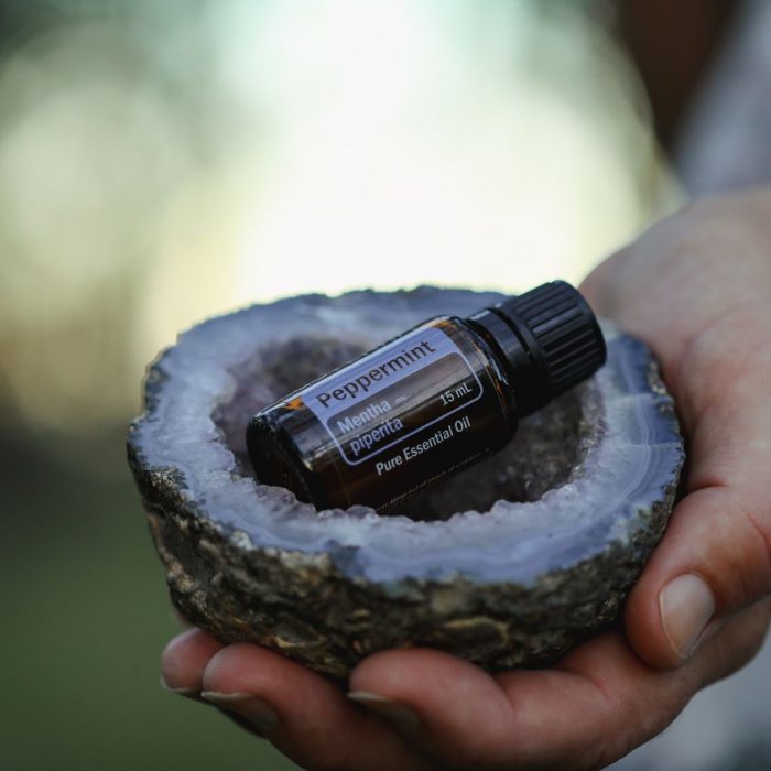 So meldest du dich beim Treueprogramm (LRP) von dōTERRA an