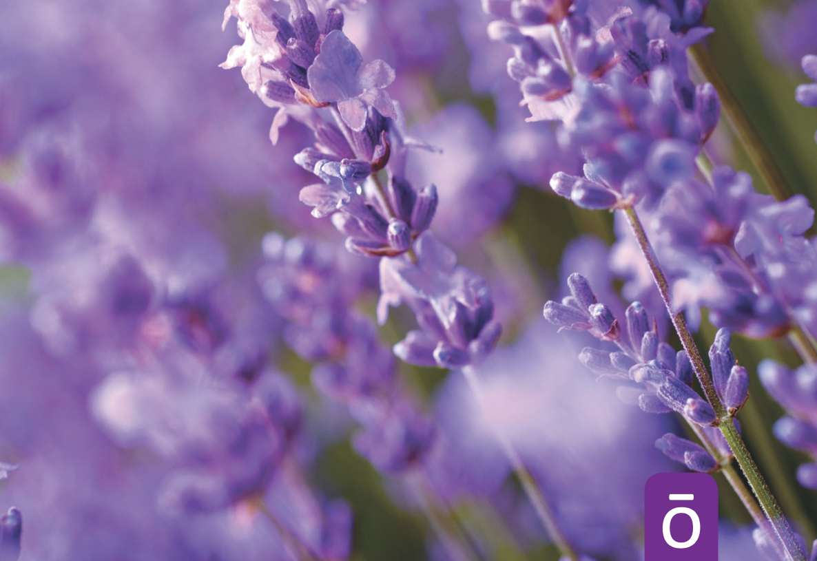 Das dōTERRA Live – die Lifestyle Übersicht als PDF
